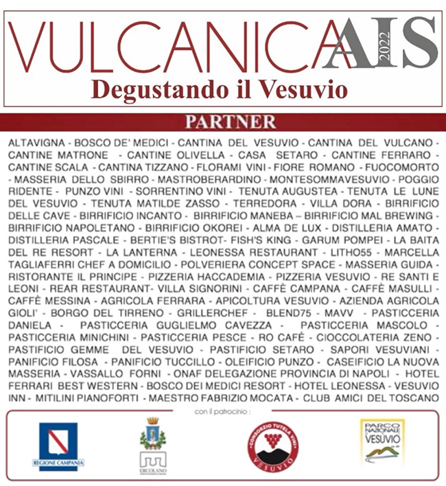 vulcanicaAis2022_2